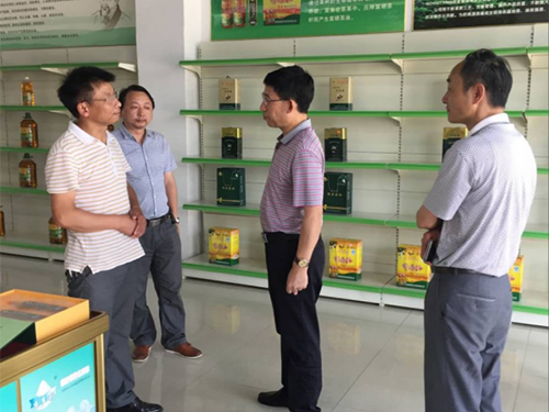 尊龙凯时,油茶莳植生产加工销售,植物油莳植生产加工销售