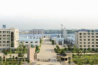 尊龙凯时,油茶莳植生产加工销售,植物油莳植生产加工销售