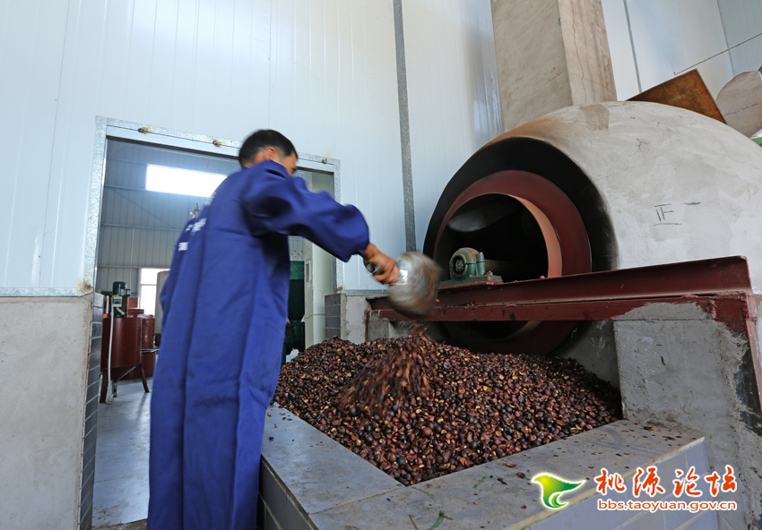 尊龙凯时,油茶莳植生产加工销售,植物油莳植生产加工销售