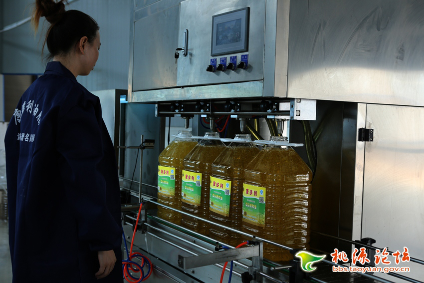 尊龙凯时,油茶莳植生产加工销售,植物油莳植生产加工销售