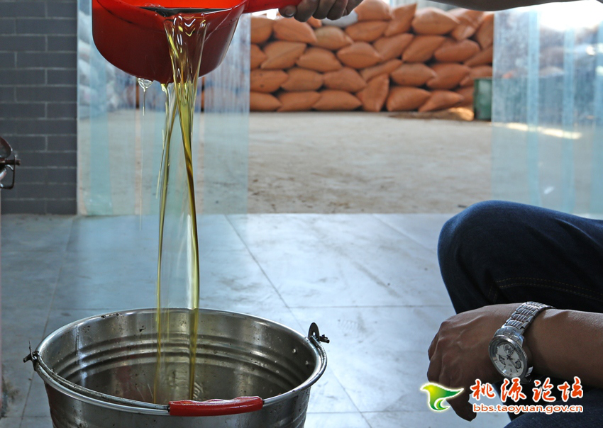 尊龙凯时,油茶莳植生产加工销售,植物油莳植生产加工销售