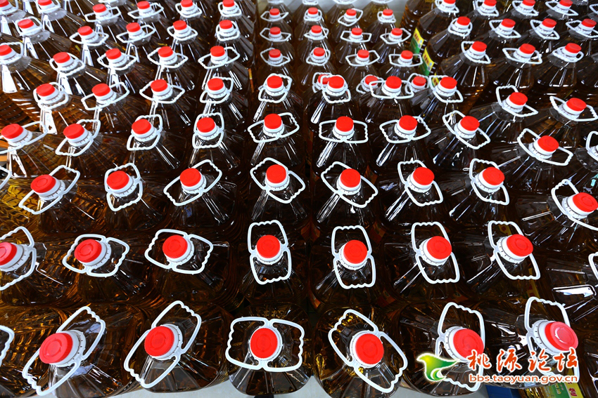 尊龙凯时,油茶莳植生产加工销售,植物油莳植生产加工销售