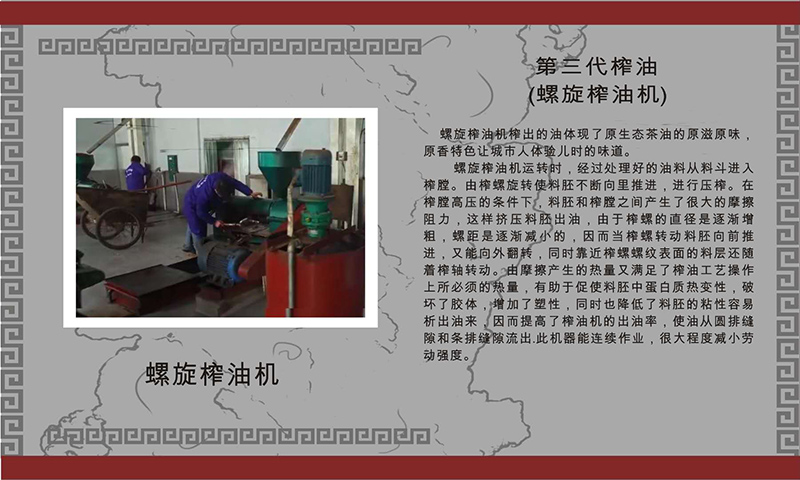 尊龙凯时,油茶莳植生产加工销售,植物油莳植生产加工销售