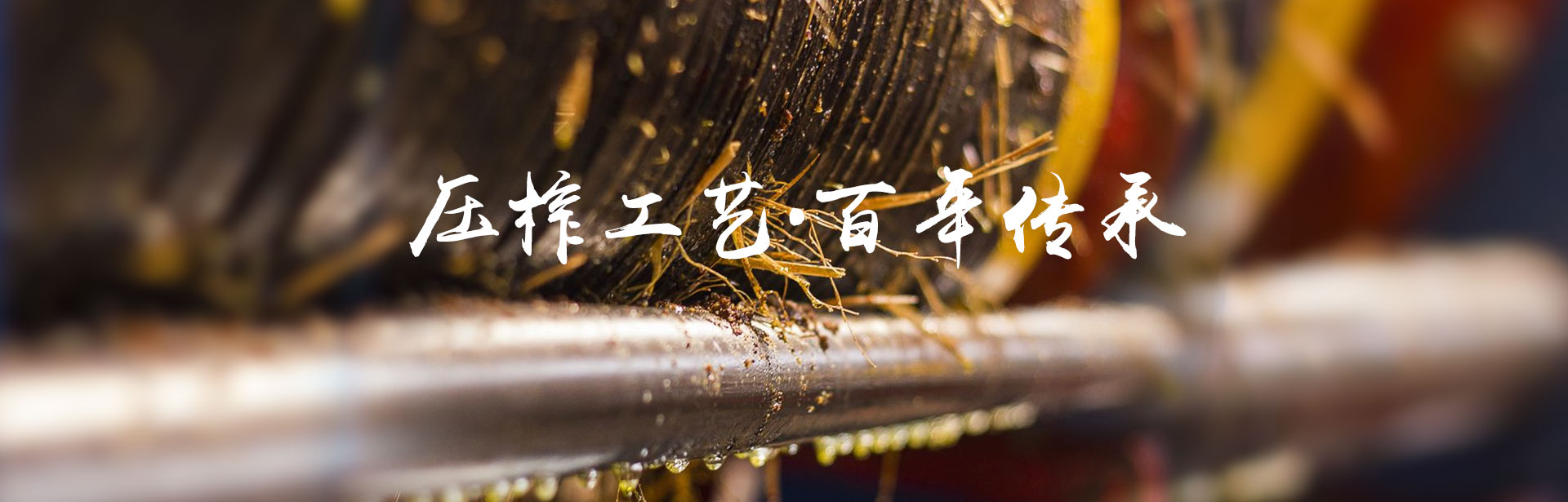 尊龙凯时_油茶莳植生产加工销售|植物油莳植生产加工销售