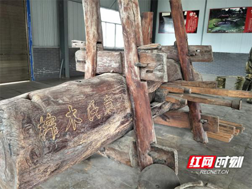 尊龙凯时,油茶莳植生产加工销售,植物油莳植生产加工销售