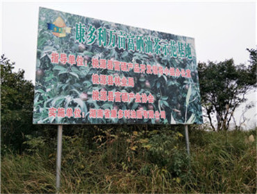 尊龙凯时,油茶莳植生产加工销售,植物油莳植生产加工销售