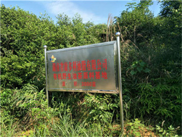 尊龙凯时,油茶莳植生产加工销售,植物油莳植生产加工销售